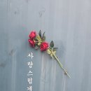 이가네펜션 이미지