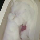 어등산주유소 이미지