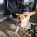 두리시스템 이미지