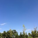 (유)파란하늘 이미지