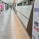 고양중고차매매단지노동조합 | '홈서비스' 늘어난 중고차 구매… 경기도 매매단지 '불안'