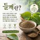 계산로3길 | 영동 현지인 맛집 비 오는 날 딱인 들깨 칼국수 효능