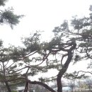 4월8-9일 청풍호 벚꽃길과 의림지,베론성지/주최:단무원심님 이미지