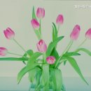 패밀리전문요양원 | 파주요양원 월롱패밀리요양원 가족이 믿고 선택한