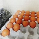 은파공업사 네이버블로그