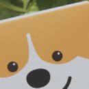 베가픽스 이미지