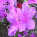 YMCA유치원 이미지