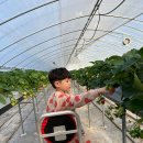 미주농장 이미지