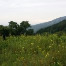 축령산휴림