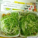 떴다파닭 이미지