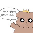 몰리짐 네이버블로그