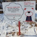 뻐꾸기 당구장 | 내돈내산 가평여행 스위스마을 '에델바이스 스위스 테마파크' 입장 및 기념품 후기