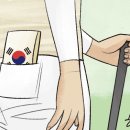 [한마당] 고진영과 태극기(국민일보) / [빛viit명상] 민족의 정기, 태극기 / 한역팔목의 뿌리와 의미 이미지