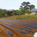 푸른솔 농장 이미지