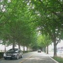 온양박물관 이미지