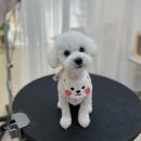 나나그룸 이미지