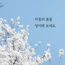 봄날 이미지