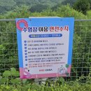 토리아이풀빌라 스파1동 | 가평애견동반펜션 우다다애견풀빌라 서울근교 독채숙소 바베큐 불멍 스파