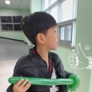 태권도예일체육관 이미지