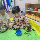 6월 2주 병아리 풀꽃 1반의 미역 오감놀이와 부모참여 사진입니다. 이미지