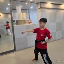 태양태권도 이미지