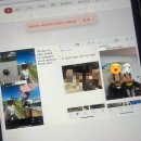 비자 | (호주)파트너 비자 셀프신청 후기 & 소소한 팁 공유