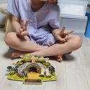 즐거운 한국사(하) 이미지