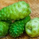 노니 필라테스 이미지