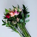 송은농장 이미지