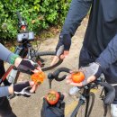 형래농장 이미지