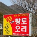 황토오리 이미지