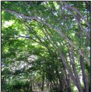 경기요양병원 이미지