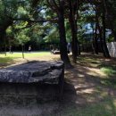 창원 덕천리 유적 이미지