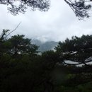 적보산(積寶山첩푸산699m)주정산(周井山440.2m)/충북충주 이미지