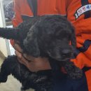 문경가축병원 이미지