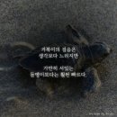 *믿져야 본전 아니겠소* 이미지