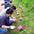 영강동행정복지센터 이미지