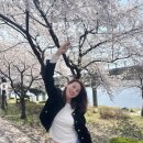 유인영 카카오 검색결과