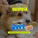 서울하이약국 이미지