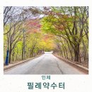 약수터 옆 | 강원도 인제 여행 필례약수터 단풍 명소 봄 방문 후기