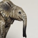 와일드아마존 | 어린이 동물 피규어 슐라이히 피규어 와일드 라이프 Schleich 42387