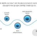수앤모성형외과의원 네이버블로그