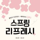 봄헤어스프링헤어