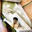 참새 다락방 이미지