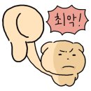 디자인첫봄