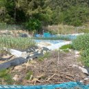 봉곡동344 이미지