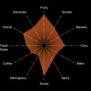 해운농장 | Masía el Altet 마지아 엘 알떼트 25년 수확 햇 오일 판매 개시 - 4종 전부 주문 가능