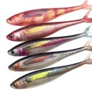 원호매드 | [공지] &#39;25. 5. 8(목) 2물 마검포항 뉴정원호 광어다운샷 낚시(대광어,조행기, 후기)