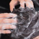 새한정형외과의원 이미지