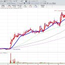 인디코리아 이미지